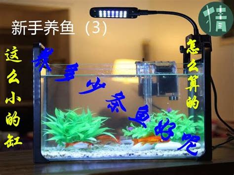 魚缸魚數量計算|魚缸計算機｜魚缸過濾｜魚缸光照｜魚缸溫度｜魚缸Di